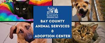 Reviews about best pest & animal control. Animal Services Adoption Center