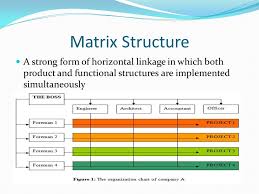 chapter 3 fundamentals of organizational structure ppt