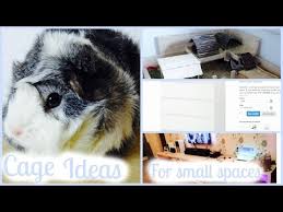 space saving guinea pig cage ideas youtube