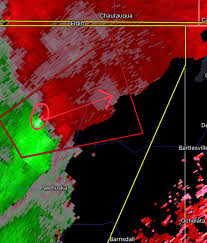 Image result for Pearsonia