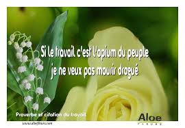 Epingle Sur Anniversaire Humoristique