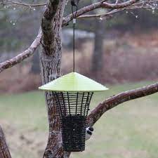 Red Barrel Studio Barlas Tube Bird Feeder Bird Feeders Black Oil Sunflower Seeds Grass