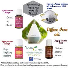 The prevention guide included resources on recognizing hazing with the organization, and how to steps as a member or advisor to prevent or stop hazing. Protect Your Loved Ones From The Haze Essential Oils How To Apply Oils