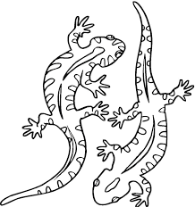 These alphabet coloring sheets will help little ones identify uppercase and lowercase versions of each letter. Two Salamander Coloring Page Free Printable Coloring Pages For Kids