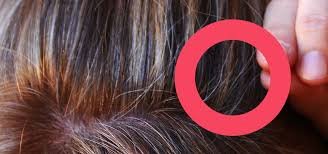 · farben * l'oréal paris bietet professionelle beratung für perfektes blonde haare. Graue Haare 3 Grunde Warum Du Sie Nicht Farben Solltest Utopia De