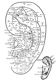 What Is Ear Acupuncture The Yinova Center