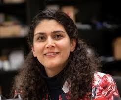 Candidates for Americas