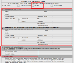Cara Permohonan Pengajuan Efin Wajib Pajak Pribadi Dan Badan Ashygreywolf