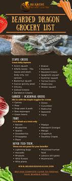Check spelling or type a new query. The Only Bearded Dragon Feeding Guide That You Ll Ever Need