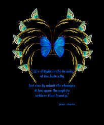 We delight in the beauty of the butterfly, but rarely admit the changes it has gone through to achieve that beauty. Maya Angelou Tribute Poster Photo Art By Lloyd