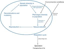 Natural selection examples can help the concept become a lot more digestible. Evolutionary Biology Part Ii Human Evolution Beyond Biology And Culture