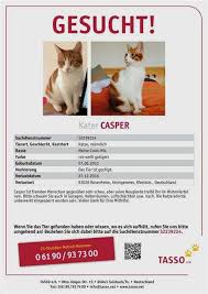 Vermisst katze in 8854 siebnen : Suchplakat Erstellen Katze Meldung Nr 207 917 Vermisst Katze In 1963 Vetroz Anschliessend Wird Automatisch Anhand Ihrer Eingegebenen Daten Ein Suchplakat