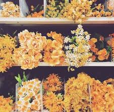 Another Hufflepuff Aesthetic Blog Yellow Aesthetic Hufflepuff Aesthetic Orange Aesthetic