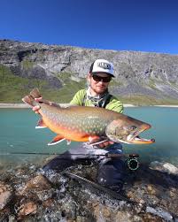 Pin On Trout
