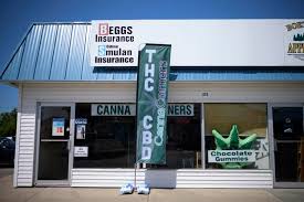 Trying to expand a cannabis business, surrounded by moratoriums