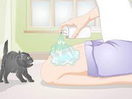 3 Ways To Stop Your Pet From Licking Lotions And Creams Wikihow
