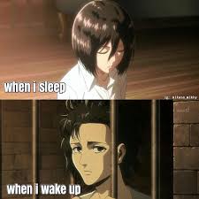This Is True I Always Wake Up With Messy Hair Attackontitan Mikasa Messyhairs Attackontitansea Attack On Titan Funny Mikasa Memes Funny Faces