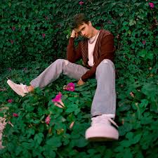 Lookup any name in just 2 easy steps. Jack Newsome Monstercat Wiki Fandom