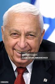 365 Ariel Powell Stock Photos, High-Res Pictures, and Images