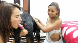 Dog double blowjob