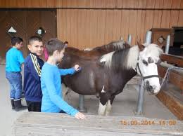 Bewertungen, hotelbilder & top angebote: Kgs Maternus Klassenfahrten