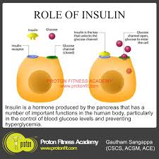 Image result for Insulin