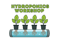 Hydroponics Workshop — WMSI