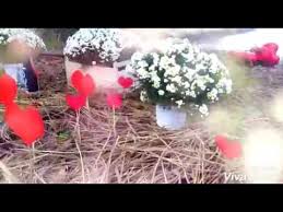 Consulta nuestro centro de ayuda. Bodas De Seda 12 Anos De Casamento Youtube