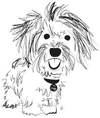 Havaneser So A Cute Label Idea For My Dog Quilt Mit Bildern Hund Illustration Hund Zeichnungen Tiere Zeichnen