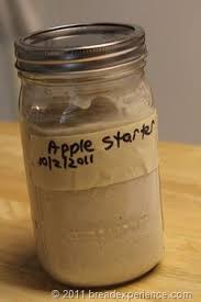 Apple Starter Bread Experience Yeast Starter Sourdough Starter Recipe Starters Recipes