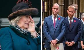 Camilla nahm das treffen mit den namensvettern von harry und william mit humor. Royal News How Harry And William S Relationship With Camilla Was Not Happy Families Royal News Express Co Uk
