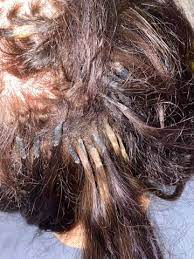 bondings ohne loser entfernen da verfilzungen entstanden sind haare extensions