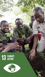 On the road to net zero. Sustainable Development Goals Sdgs Catalyst 2030