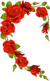 Corazones 573 Png 496 800 Marcos Para Fotos De Boda Flores Pintadas Papel Pintado Flores