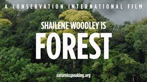 Natureisspeaking.org image result