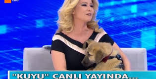 Muge Anli Kuyudan Cikartilan Yavru Kopek Muge Anli Daydi 16 Subat Chp Gundemi Chp Haberleri