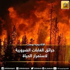 حرائق الغابات الضرورية لاستمرار الحياة قد يبدو العنوان غريبا وخاصة بعد كل الحديث عن حرائق غابات الأمازون وتأثيرها على الأرض ولكن ه Movie Posters Movies Poster