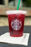 Image result for what is the best iced tea in starbucks