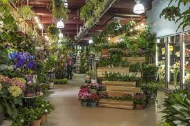 Plant And Flower Delivery Nyc Plantshed Com Garden Center Displays Floral Shop Plants