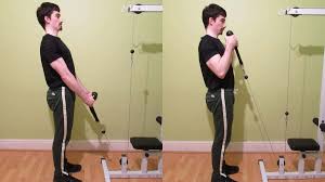 Cable Hammer Curls With A Rope Bicep Tutorial