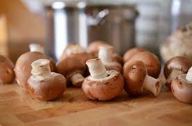 Kestane Mantari Yemek Portobello Mantar
