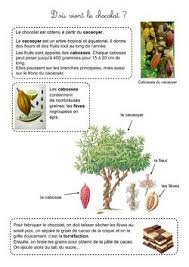 Epingle Sur Ecole Sciences
