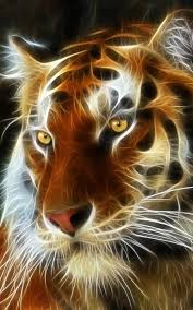 Even if you don't experiment with icon packs and themes, you probably change your phone's background now and then. 3d Wallpaper For Android Mobile Free Download Allwallpaper In 2021 Live Wallpapers Aquarium Live Wallpaper New Live Wallpaper