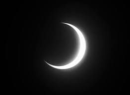 Good Morning Moonbeamdances Black And White Gif Dark Green Aesthetic Aesthetic Gif
