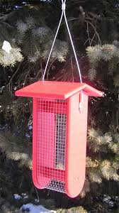 Amish Poly Split Peanut Bird Feeder Peanut Bird Feeder Bird Feeders Bird