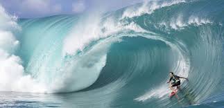 Entdecke rezepte, einrichtungsideen, stilinterpretationen und andere ideen zum ausprobieren. X12pnhv4bgqy9m