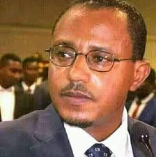 የፒፒ (ብልፅግና ፓርቲ) አባል አልነበርኩም..." አቶ ለማ መገርሳ ለፊንፊኔ ኢንተርሴፕት የተናገሩት