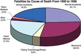 Wildland Firefighter Fatalities In The United States 1990