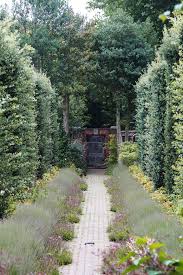 Here's my list of garden path ideas that may be my next outdoor diy project. Garden Path Materials The Good The Bad And The Beautiful The Middle Sized Garden Gardening Blog