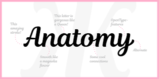 The magnolia script font has been downloaded 16,506 times. Magnolia Script Font 1001 Fonts